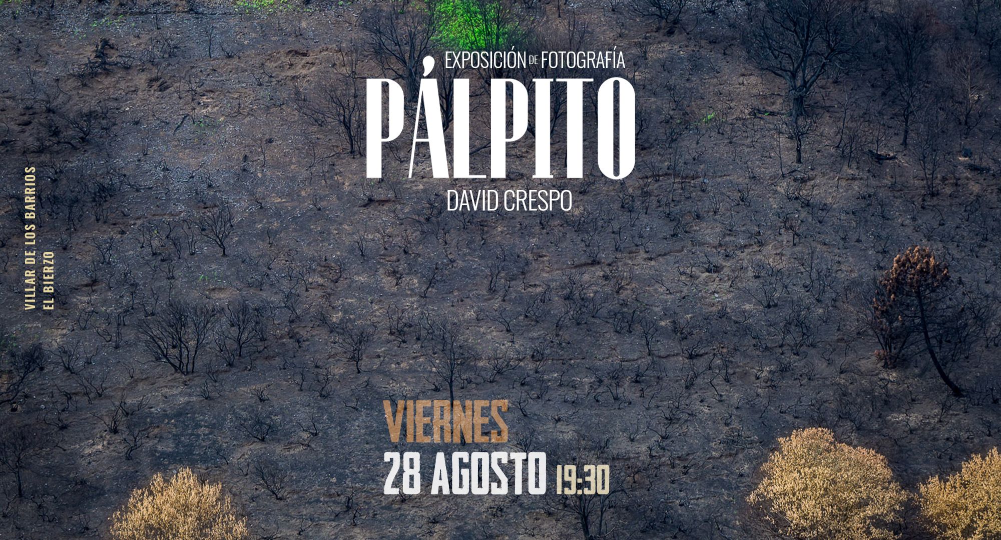 Cabecero evento Palpito Cabecero evento Palpito