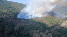 Incendio de Caboalles de Abajo (Villablino) | Foto: Naturaleza de Castilla y León 