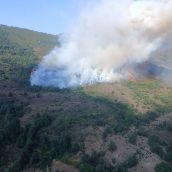Incendio de Caboalles de Abajo (Villablino) | Foto: Naturaleza de Castilla y León Incendio de Caboalles de Abajo (Villablino) | Foto: Naturaleza de Castilla y León