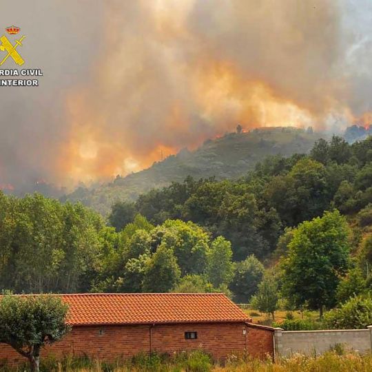 Detenido un hombre por el incendio de La Utrera que obligó a evacuar a 66 personas Detenido un hombre por el incendio de La Utrera que obligó a evacuar a 66 personas