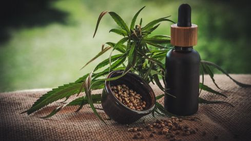 cbd infos com cbd 4474903 1280