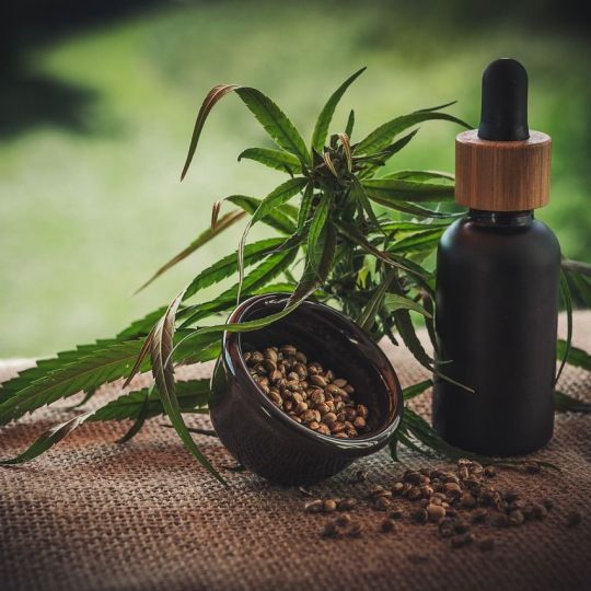 cbd infos com cbd 4474903 1280