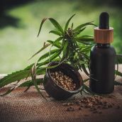 cbd infos com cbd 4474903 1280