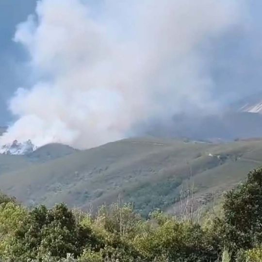 Incendio de Montes de la Ermita