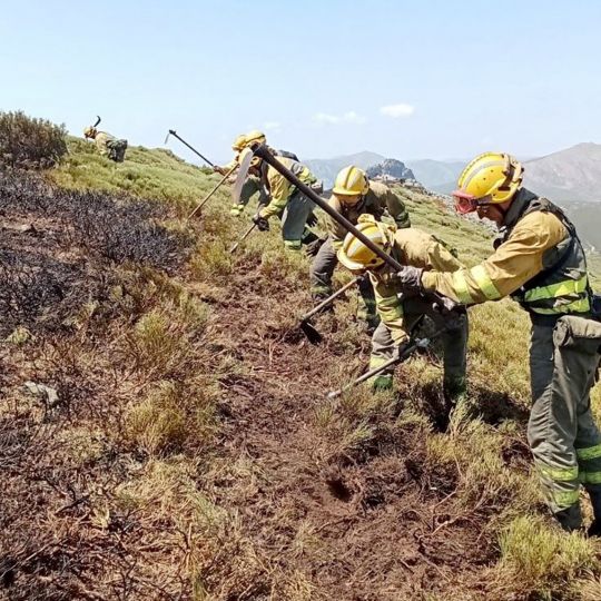 Trabajos en incendios forestales tras la caída de un rayo