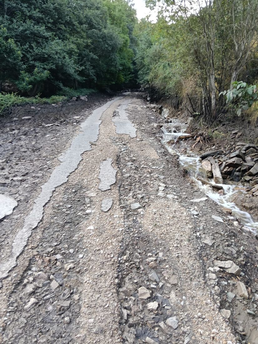 Estado de la carretera de acceso a Carracedo de Compludo tras la riada (6)