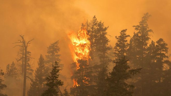 Tecnología y  prevención de incendios: la ULE crea la aplicación Crownfire-AI | AscentXmedia / iStock