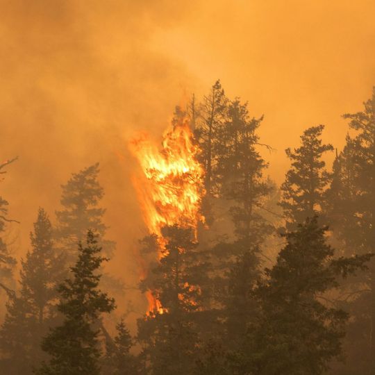 Tecnología y prevención de incendios: la ULE crea la aplicación Crownfire-AI | AscentXmedia / iStock Tecnología y prevención de incendios: la ULE crea la aplicación Crownfire-AI | AscentXmedia / iStock