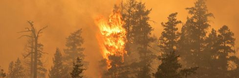 Tecnología y prevención de incendios: la ULE crea la aplicación Crownfire-AI | AscentXmedia / iStock Tecnología y prevención de incendios: la ULE crea la aplicación Crownfire-AI | AscentXmedia / iStock