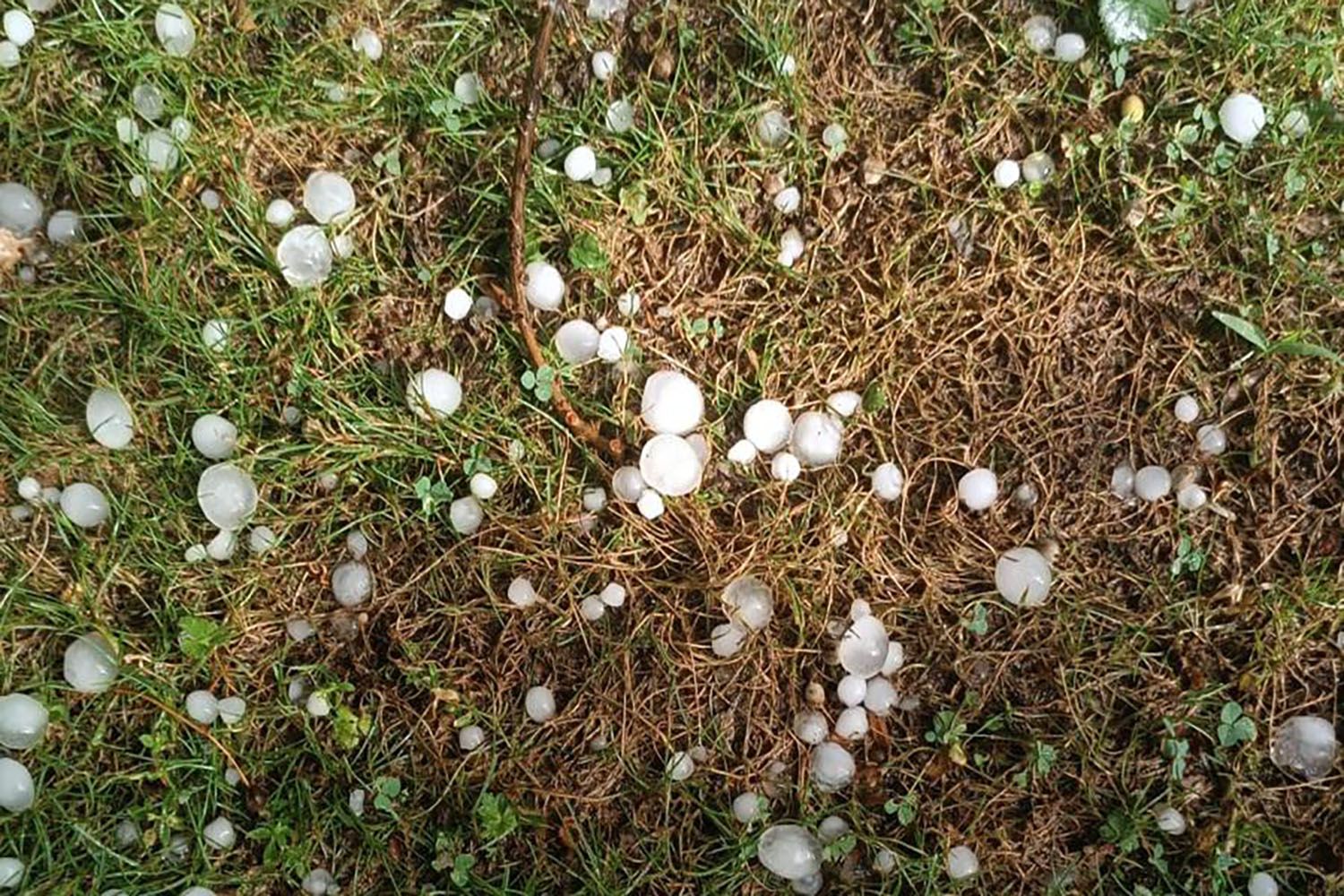 Granizo en El Bierzo | María Corral Granizo en El Bierzo | María Corral
