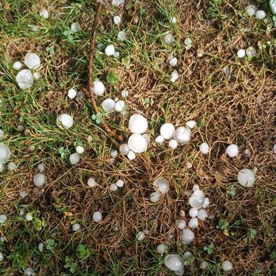 Granizo en El Bierzo | María Corral