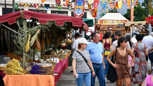 Inauguración del Mercado Medieval de las Fiestas de La Encina  (19)