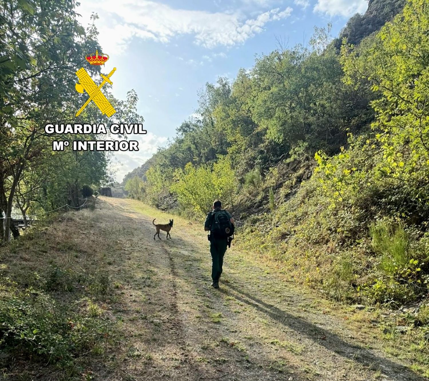Dispositivo de búsqueda de la Guardia Civil del hombre desaparecido en La Cabrera 2 Dispositivo de búsqueda de la Guardia Civil del hombre desaparecido en La Cabrera 2