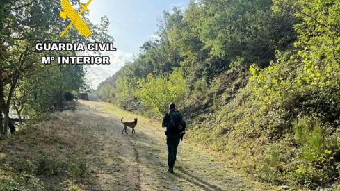 Dispositivo de búsqueda de la Guardia Civil del hombre desaparecido en La Cabrera 2