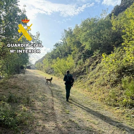 Dispositivo de búsqueda de la Guardia Civil del hombre desaparecido en La Cabrera 2