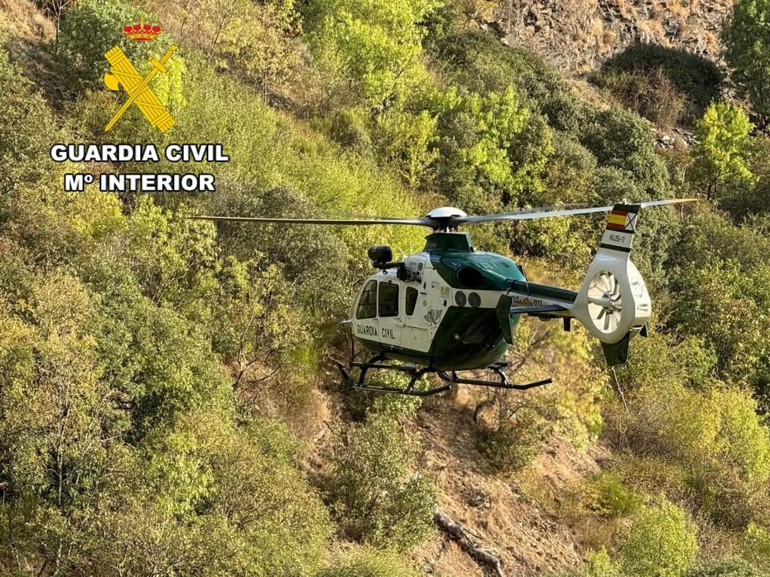 Dispositivo de búsqueda de la Guardia Civil del hombre desaparecido en La Cabrera Dispositivo de búsqueda de la Guardia Civil del hombre desaparecido en La Cabrera