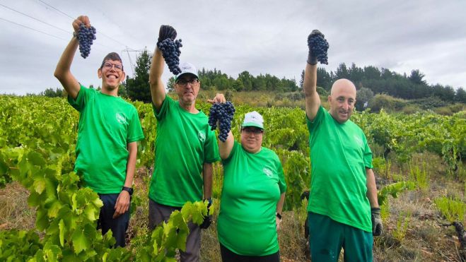 La vendimia de Asprona Bierzo consigue reunir 3.000 kilos de uva | Asprona Bierzo