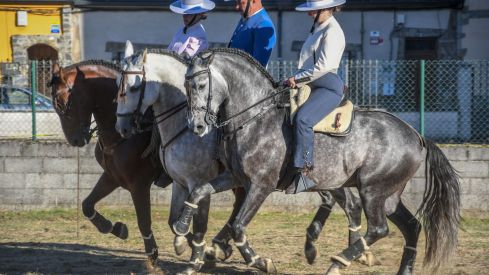 El espectáculo ecurstre 'La magia del caballo' conquista las fiestas del Cristo de Bembibre | Héctor Keudell