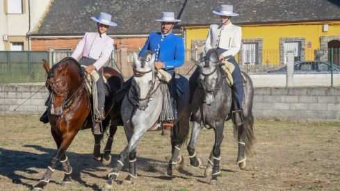 El espectáculo ecurstre 'La magia del caballo' conquista las fiestas del Cristo de Bembibre | Héctor Keudell