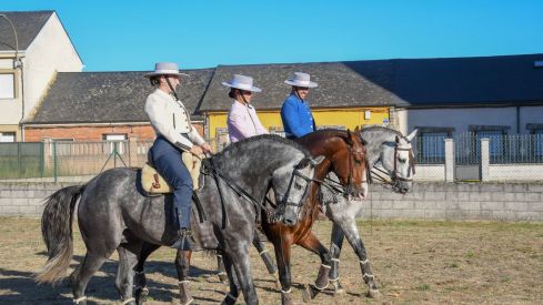 El espectáculo ecurstre 'La magia del caballo' conquista las fiestas del Cristo de Bembibre | Héctor Keudell