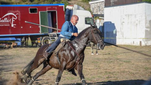 El espectáculo ecurstre 'La magia del caballo' conquista las fiestas del Cristo de Bembibre | Héctor Keudell
