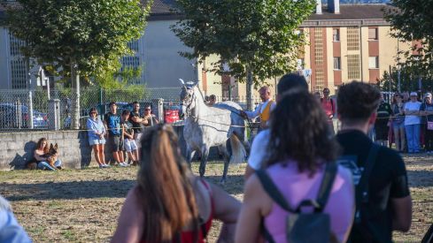 El espectáculo ecurstre 'La magia del caballo' conquista las fiestas del Cristo de Bembibre | Héctor Keudell