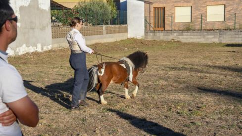 El espectáculo ecurstre 'La magia del caballo' conquista las fiestas del Cristo de Bembibre | Héctor Keudell