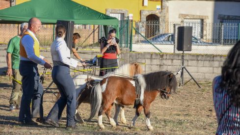 El espectáculo ecurstre 'La magia del caballo' conquista las fiestas del Cristo de Bembibre | Héctor Keudell