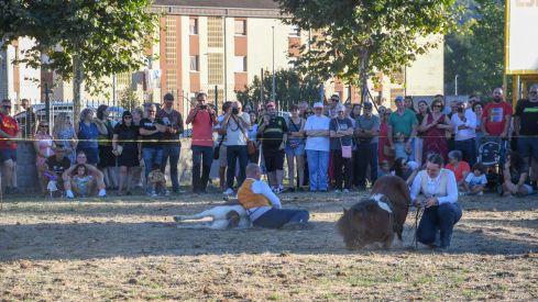 El espectáculo ecurstre 'La magia del caballo' conquista las fiestas del Cristo de Bembibre | Héctor Keudell