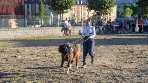 El espectáculo ecurstre 'La magia del caballo' conquista las fiestas del Cristo de Bembibre | Héctor Keudell