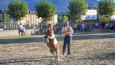 El espectáculo ecurstre 'La magia del caballo' conquista las fiestas del Cristo de Bembibre | Héctor Keudell
