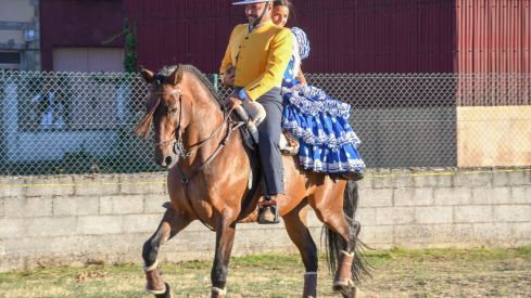 El espectáculo ecurstre 'La magia del caballo' conquista las fiestas del Cristo de Bembibre | Héctor Keudell