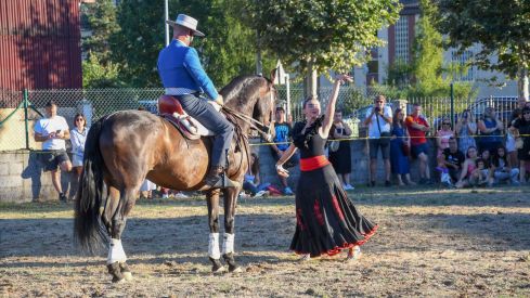 El espectáculo ecurstre 'La magia del caballo' conquista las fiestas del Cristo de Bembibre | Héctor Keudell