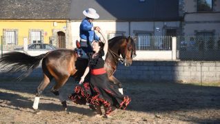 El espectáculo ecurstre 'La magia del caballo' conquista las fiestas del Cristo de Bembibre | Héctor Keudell