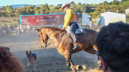 El espectáculo ecurstre 'La magia del caballo' conquista las fiestas del Cristo de Bembibre | Héctor Keudell