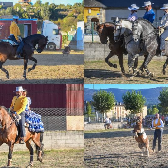 Bembibre se deja cautivar por el espectáculo 'La magia del caballo' Bembibre se deja cautivar por el espectáculo 'La magia del caballo'