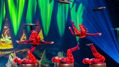 Carracedelo llevará a sus vecinos a A Coruña para disfrutar del espectáculo ‘OVO' de Cirque du Soleil | Cirque du Soleil