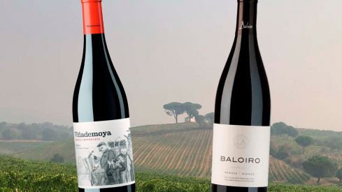 Vinos de la Bodega Luzdivina y Amigo