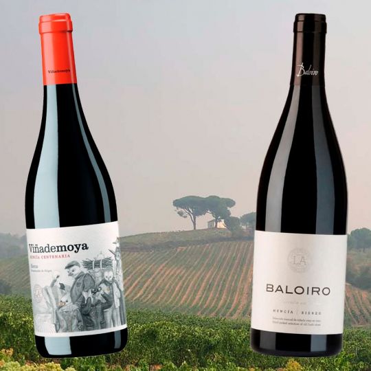 Vinos de la Bodega Luzdivina y Amigo Vinos de la Bodega Luzdivina y Amigo