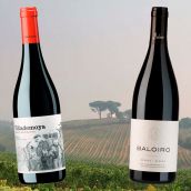 Vinos de la Bodega Luzdivina y Amigo Vinos de la Bodega Luzdivina y Amigo