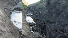 Estado actual de Valle de Faro en Fornela | Foto: Reserva de la Biosfera de los Ancares Leoneses Estado actual de Valle de Faro en Fornela | Foto: Reserva de la Biosfera de los Ancares Leoneses