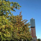 Llegada del otoño al Bierzo