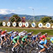 Rotonda de los ciclistas combinada con el pelotón real del Mundial de 2014 Rotonda de los ciclistas combinada con el pelotón real del Mundial de 2014