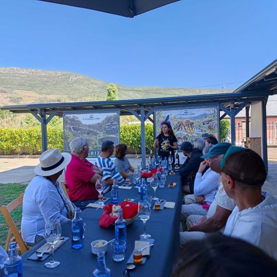Cata en O Marquesado | Percorre Valdeorras descubre a 13 visitantes los paisajes, el patrimonio y los vinos de la comarca Cata en O Marquesado | Percorre Valdeorras descubre a 13 visitantes los paisajes, el patrimonio y los vinos de la comarca