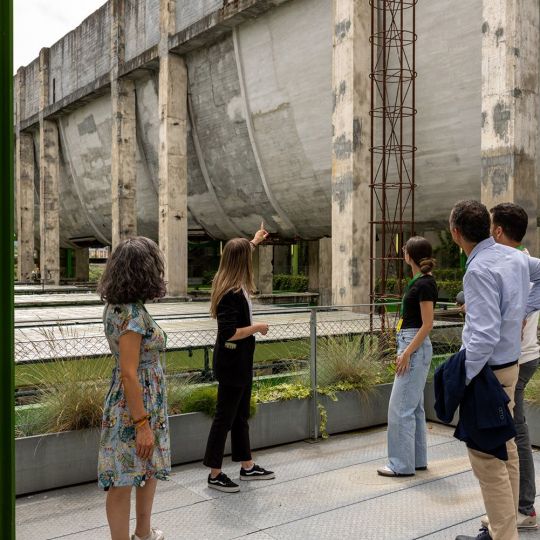 Compostilla I Nace Endesa