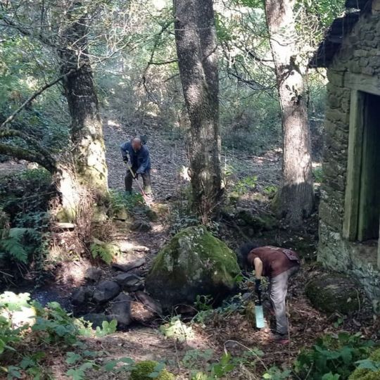 Limpieza de vegetación del pueblo minero Santibáñez de Montes (Torre del Bierzo) | Foto: Chema Vicente, ICAL