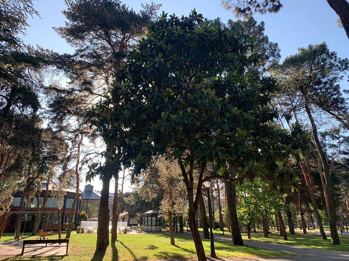 El parque del Temple