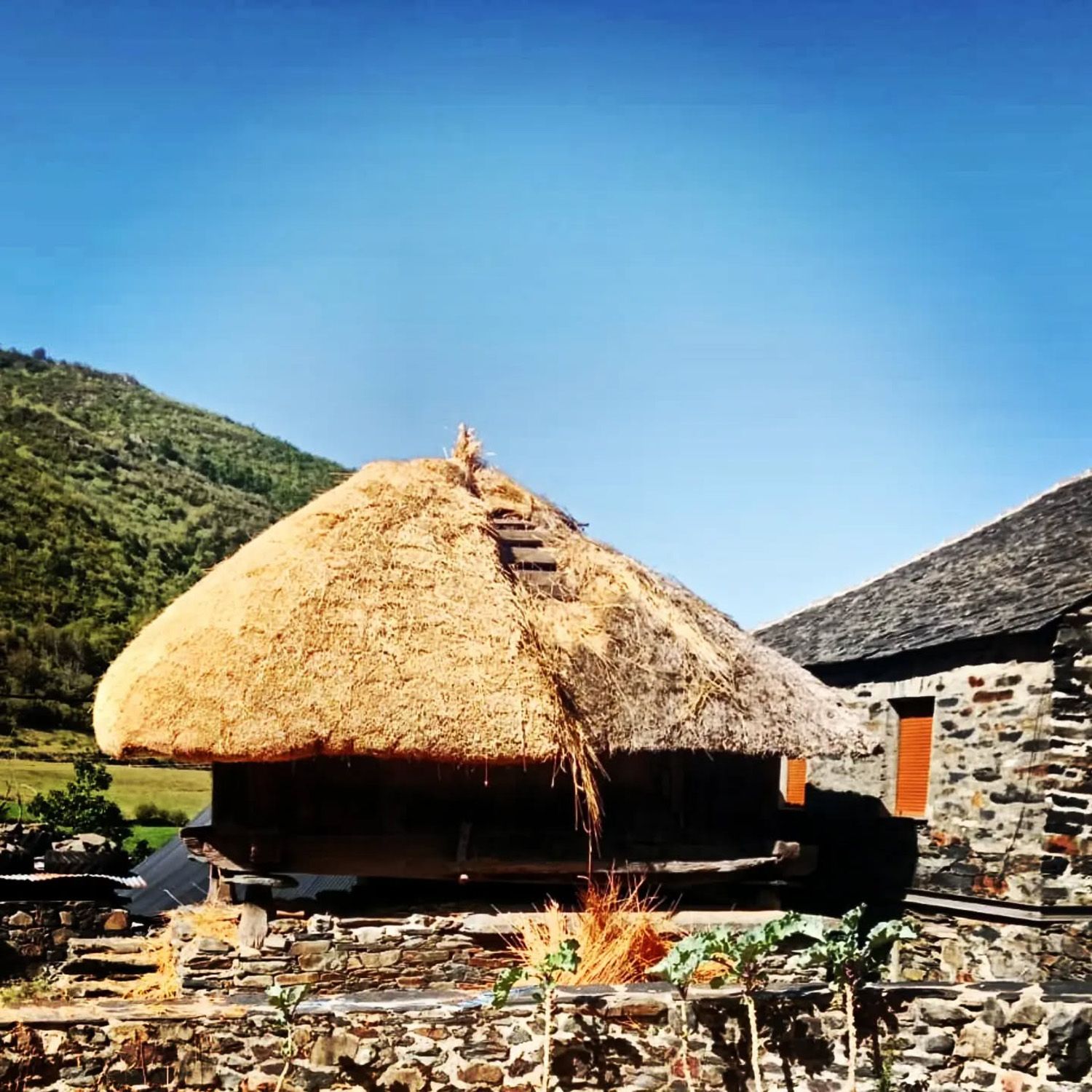 Recuperación del hórreo de Balouta (Valle de Ancares)| Foto: Ayuntamiento de Valle de Ancares Recuperación del hórreo de Balouta (Valle de Ancares)| Foto: Ayuntamiento de Valle de Ancares