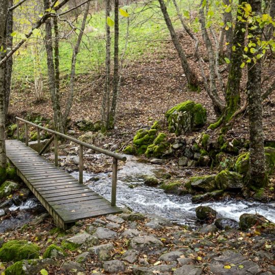 Puente de madera que cruza un arroyo en un bosque en El Bierzo | Foto: iStock, autor: Sebastián Fernández Puente de madera que cruza un arroyo en un bosque en El Bierzo | Foto: iStock, autor: Sebastián Fernández