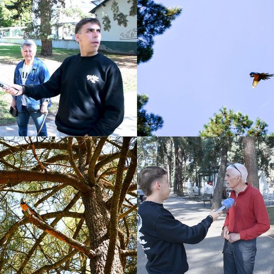Guacamayo en el parque del Temple de Ponferrada